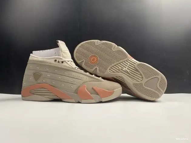 Reps TBK 14 Terra Clot Retro AIR DC9857-200 Blush Jordan Low 0602